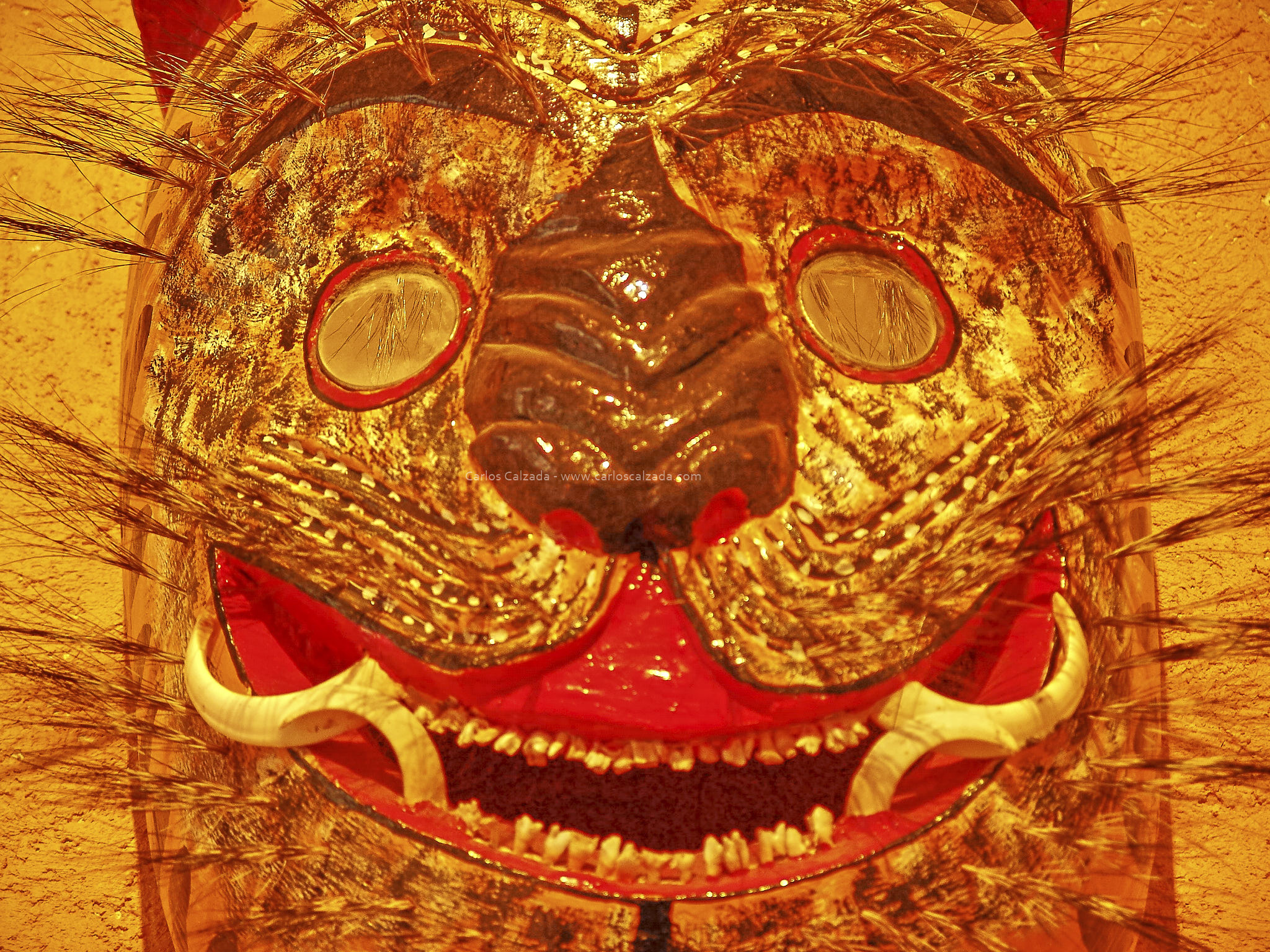 DSC02500_2005.jpg